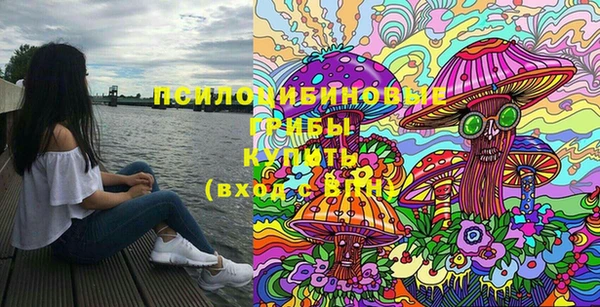 эйфоретик Богородицк