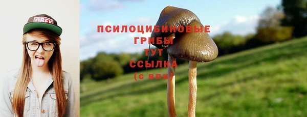кристаллы Богданович